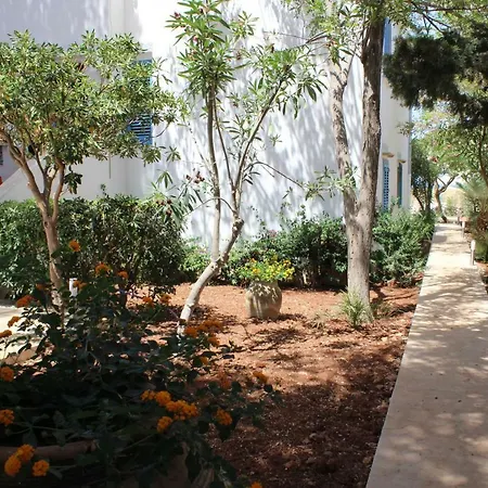 Casa Madre *